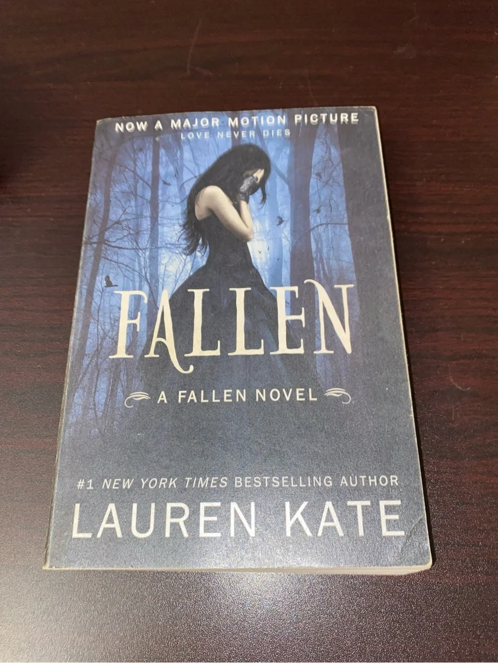 Fallen by Lauren Kate - Dark Blue Paperback